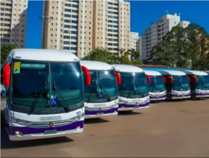 Transporte coletivo global truck